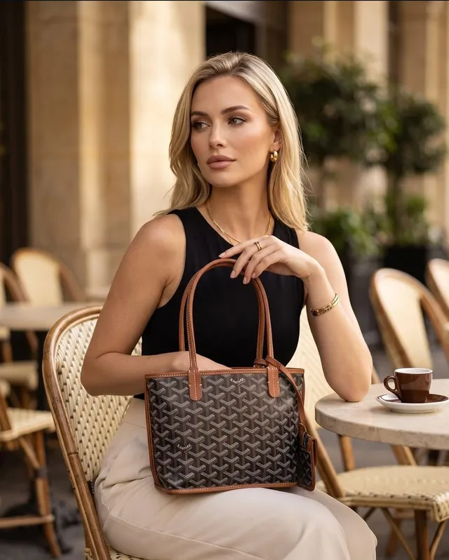 Goyard Anjou Mini Black Tan Shoulder bag